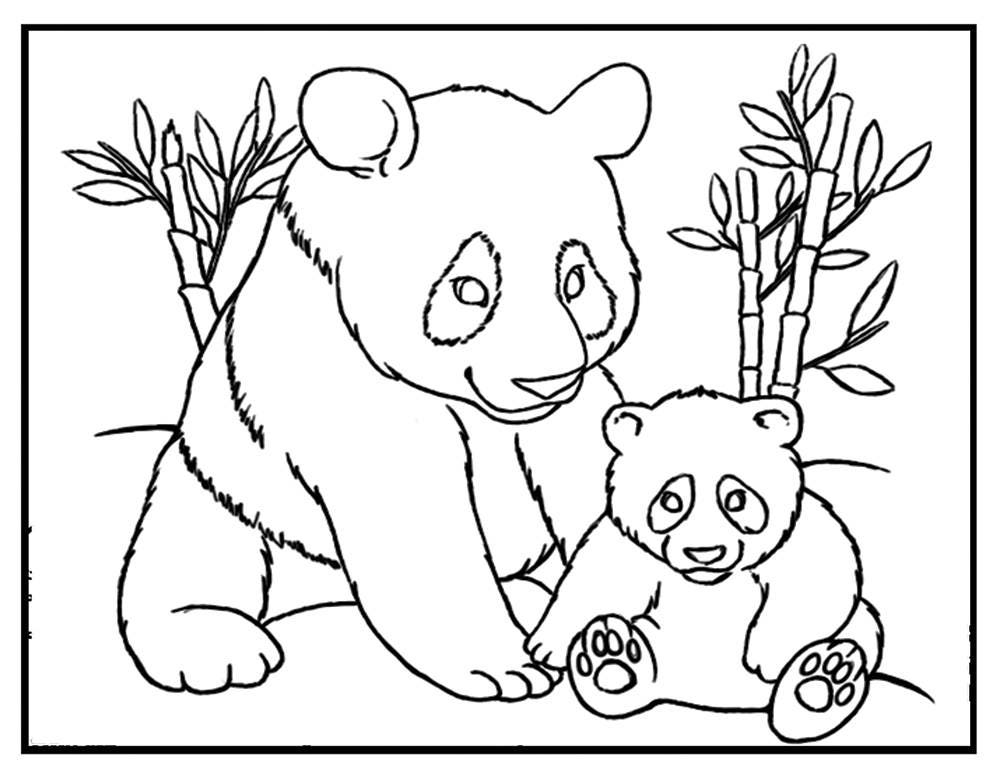 Panda Bear Coloring Pages Print 1