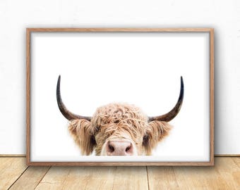 Highland Cow Print - Farm Animal Wall Art, Digital Download, Cow Poster, Cattle Photography, Animal Portrait, Cow Closeup, Farm Nursery