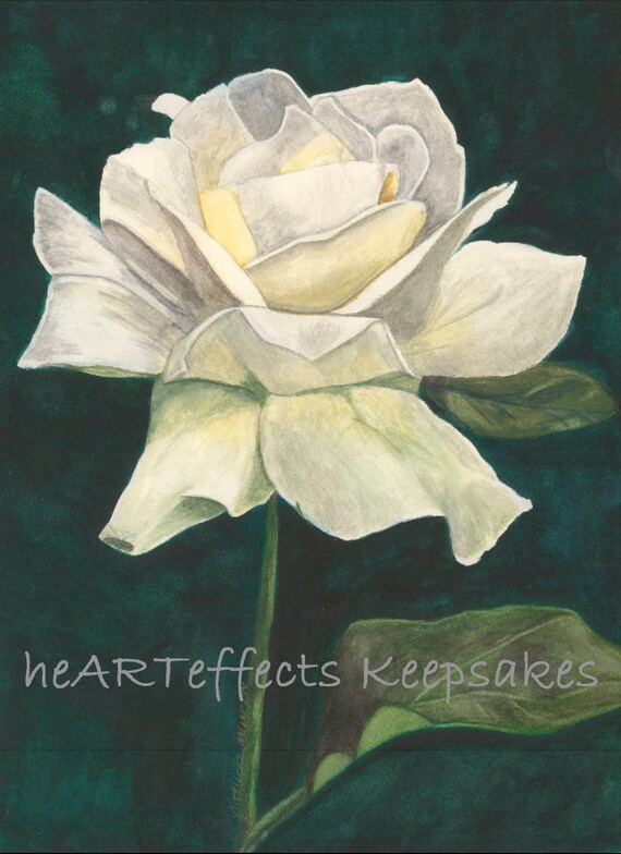 Giclee Print of White Rose with Inspirational Quote 5x7