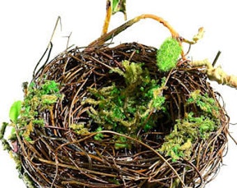 Decorative Bird Nests | Craft Bird Nest | Birds Nests | Craft Supplies | Natural Crafts