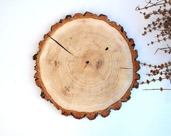 8 Rondins De Bois Naturels - 8-10 Cm Diamètre - Tranches Avec Écorce Pour Déco Et DIY
