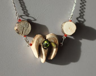 RAM's head in Hazel