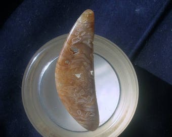 25% OFF Sale Hell's Canyon Petrified Wood Cabochon