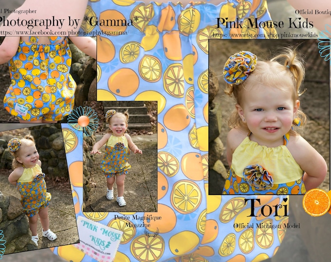 Barnyard Birthday Party - Animal Farm - Girls Birthday Dress - Personalized Toddler Dress - Toddler Girl Clothes - Pink Stripes - 6 mo/8 yrs