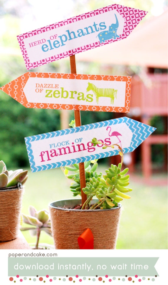 Safari Baby Shower or Birthday Party PRINTABLE Party Collection - You Customize EDITABLE TEXT >> Instant Download | Paper and Cake Il_570xn