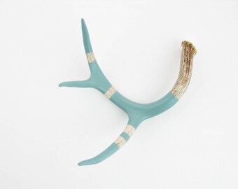 Painted Antler - MEDIUM - Pale Green Monochromatic - Taxidermy and Curiosities