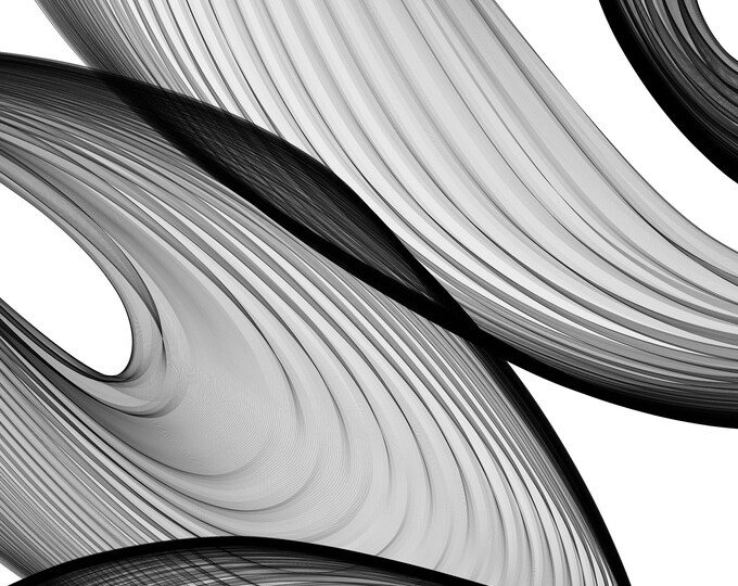 ORL-6043 Abstract Black and White 21-43-56. New Media Abstract Black and White Canvas Art Print, Canvas Art Print up to 50" by Irena Orlov