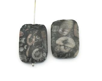 2 crinoid jasper.fossil stone beads,18mm x 25mm / #PP147