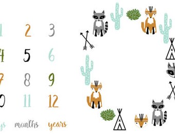 Milestone blanket/boy milestone blanket/boy blanket/milestone tracker/baby month blanket/ month/baby boy/boy/milestones