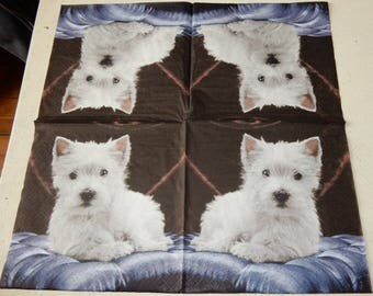 New West Highland white terrier dog paper towel