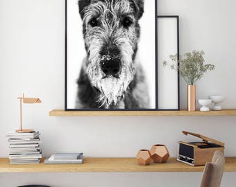Irish Wolfhound Print, Black And White Art, Animal Poster, Digital Print, Cool Dog Art, Instant Download