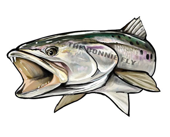 Speckled Trout Vinyl Waterproof Durable Decal / Fish Stickers