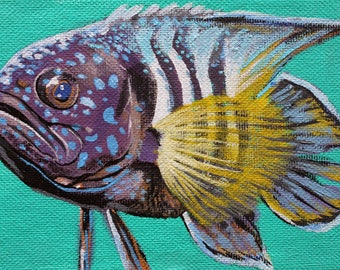 Tropical Strip Fish