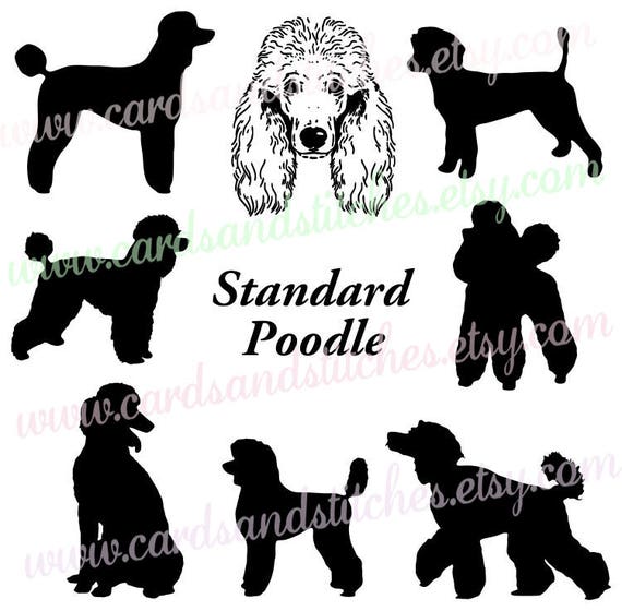 Poodle SVG Standard Poodle SVG Dogs SVG Digital Cutting