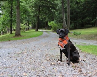 Plaid Dog Bandana for Fall. Orange Frayed Tie on Scarf Accessory