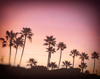 Palm Tree Print Or Canvas Wrap California Beach Palms Trees Photo Sunset Photography Pink Black Wall Palm Tree Print Or Canvas Wrap California Beach Palms Trees Photo Sunset Photography Pink Black Wall