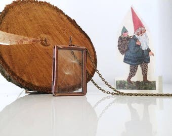 Necklace slide with seeds of Issue