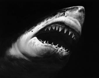 Great White Shark, Shark Wall Art, Shark Decor, Shark Print, Shark Poster, Shark Gift, 8x10, 11x14, 16x20 (JS1844)