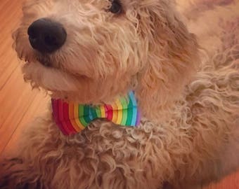 Rainbow Dog Bow Tie