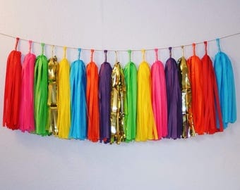 Fiesta Tassel Garland | Fiesta Party Decor, First Fiesta Banner, Mexican Tassels, Taco Party Supplies, Cinco De Mayo, Fiesta Baby Shower