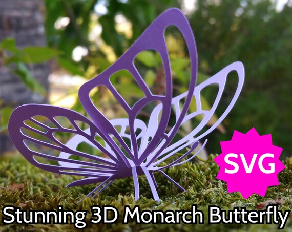 Download Stunning SVG Butterfly 3D or 2D. Cricut & Silhouette cut file