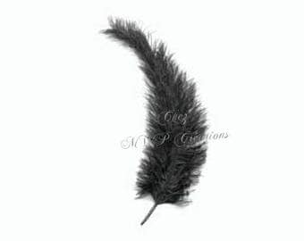 Large feather "ostrich" 35cm - white or black.