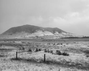 Wild Horse Ranch