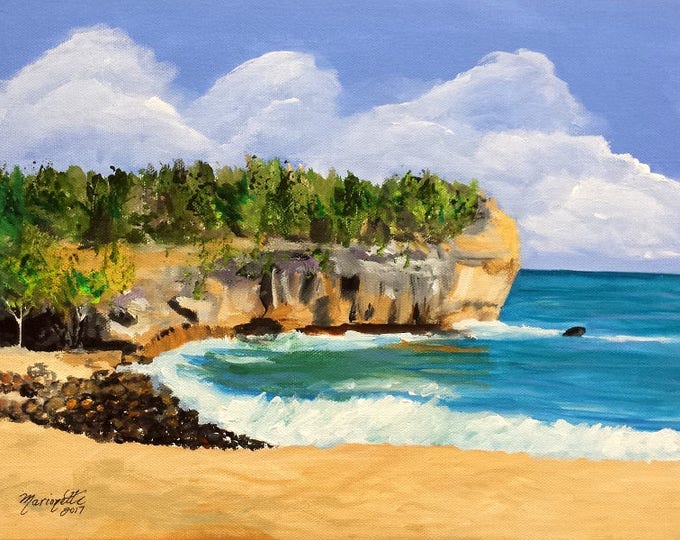 Original Acrylics Kauai Fine Art