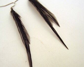 Black Feather Earrings thin