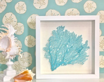 Beach Decor - Framed Natural Seahells or Sea Fan - coastal nautical embellished seashells starfish sealife