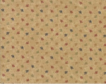 Gooseberry Lane Kansas Troubles Primitive Moda Cotton Quilt Fabric by the 1/2 yard #9544 11