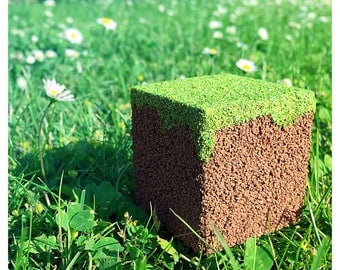 Minecraft Inspired Realistic Grass Block