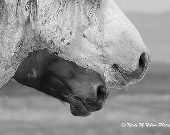 Wild Horses~Horse~ House Decor~ Pferde~ Utah Horses