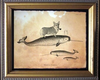 Welsh Corgi Dog Riding Narwhal - Vintage Collage Art Print on Tea Stained Paper - Vintage Art Print - Vintage Paper