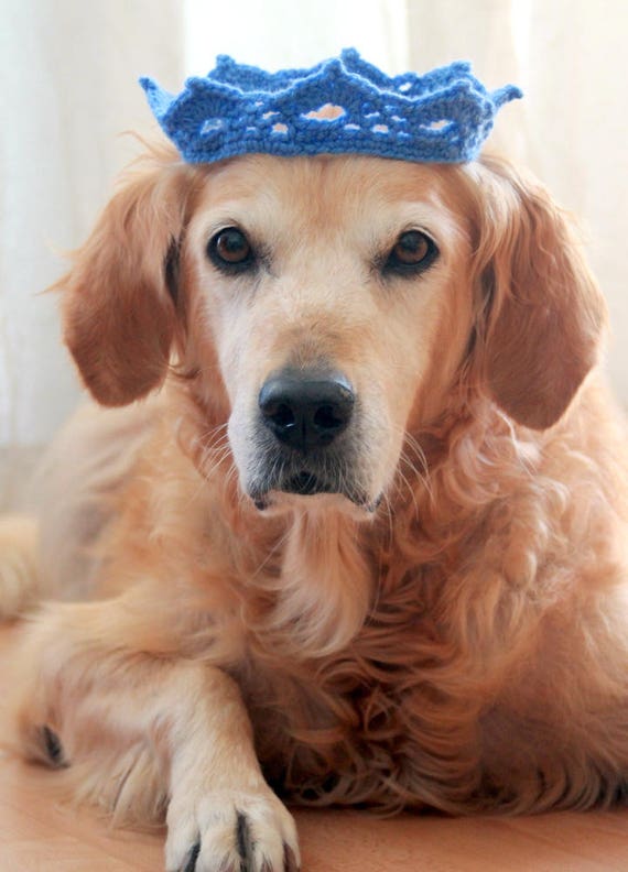 Dog Crown Pet Crown Crown for Dogs Dog Tiara Pet Tiara
