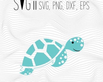 Download Tortoise svg | Etsy
