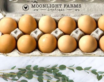 Skinny Egg Carton Stamp - Custom Printed Egg Carton Stamp - Extra Long Stamp - Fresh Eggs Stamp - Farm Name Stamp - Thin Chicken Coop Stamp