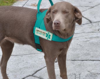 Service Dog Harness in CUSTOM COLOR - whatever color you want! Inclues Patches and Handle - cool, comfortable, and lightweight!