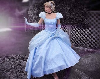 Cinderella Inspired Wig Parks or Classic