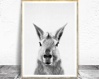 Mara Print, Peekaboo, Nursery Art, Peekaboo Animal, Rabbit, Nursery Decor Ideas, Kids Room Decor Ideas, Neutral Nursery, Patagonia Animals