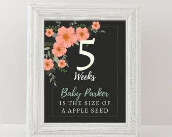 Weekly Pregnancy Chalkboard, Maternity Photo Prop, Baby Bump Sign, Pregnancy Week By Week, Pregnancy Countdown, Printable Weeks 4-40.