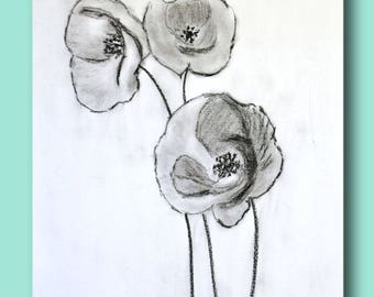 Three poppies pencil sketch