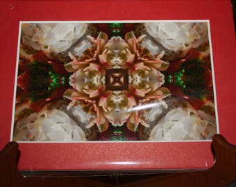 4x6 Succulent with red mat