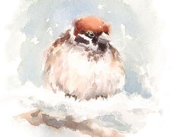 Bird Sparrow Watercolour Painting Q18