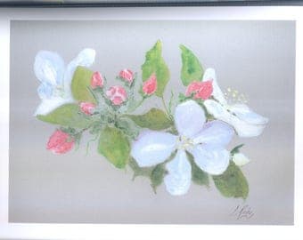 Original watercolor on cardboard Apple blossoms