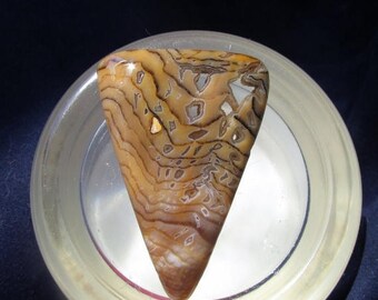25% OFF Sale Hell's Canyon Petrified Wood Cabochon