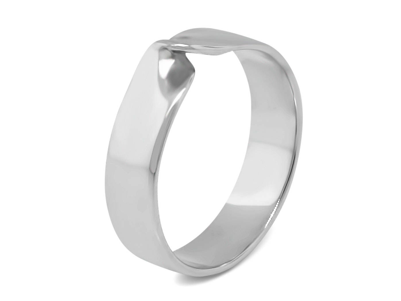 Mobius Ring Wedding Band for Men Wedding Band for Women