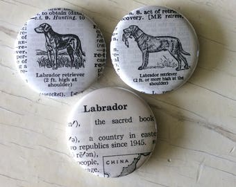 Labrador Vintage Dictionary Illustration Magnet Set of 3