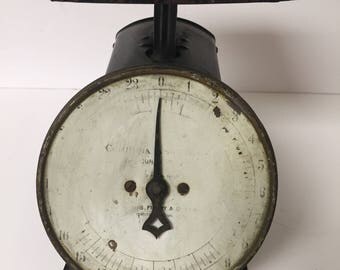 Vintage Columbia Family Scale