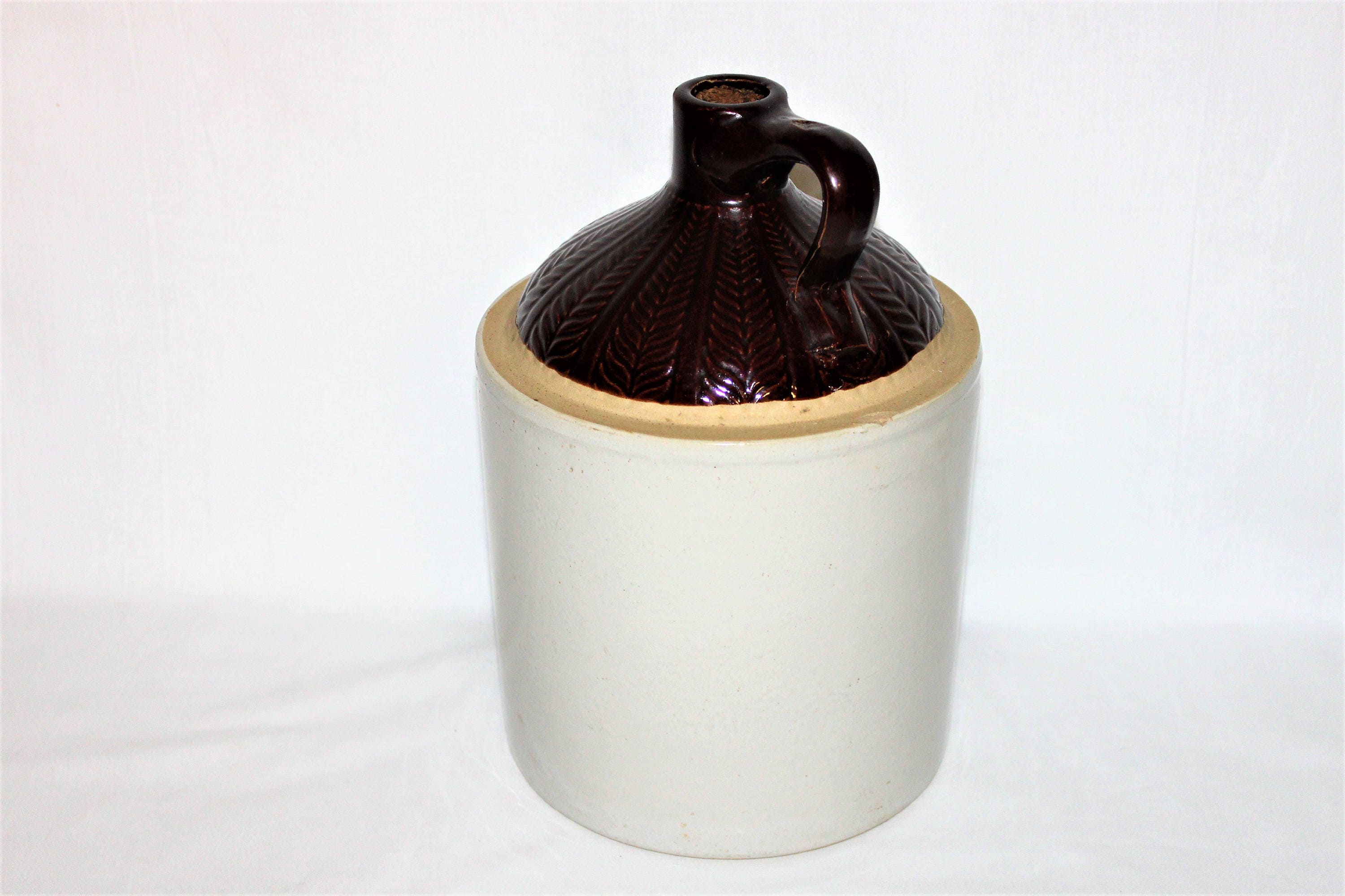 Vintage Western Stoneware Gallon Crock Jug with Fern Pattern